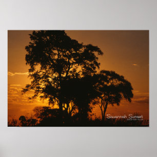 Savannah Sunset Poster
