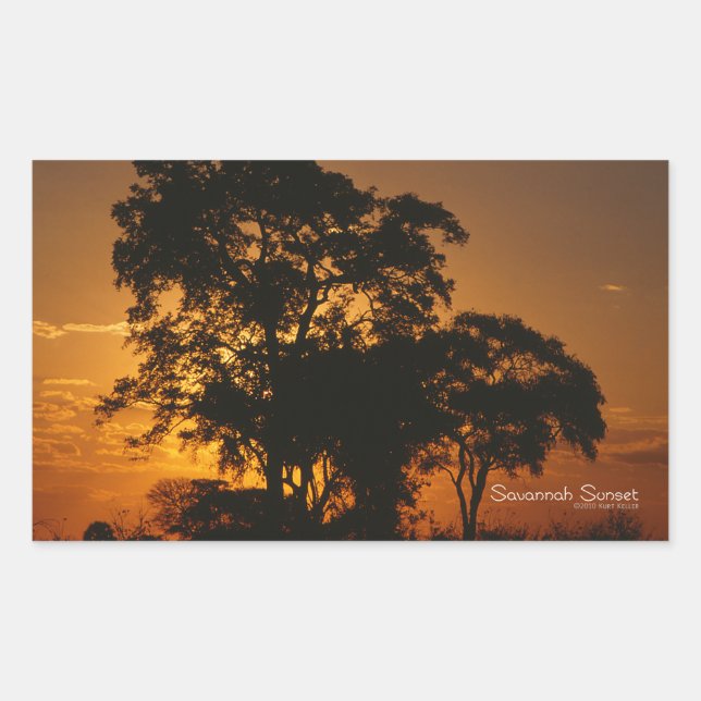 Savannah Sunset Rektangulärt Klistermärke (Framsida)