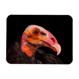 Savannah Vculture Magnet