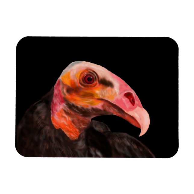 Savannah Vculture Magnet (Horisontell)