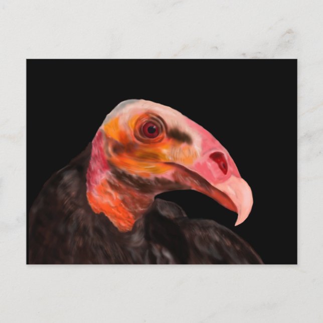 Savannah Vculture Vykort (Framsida)