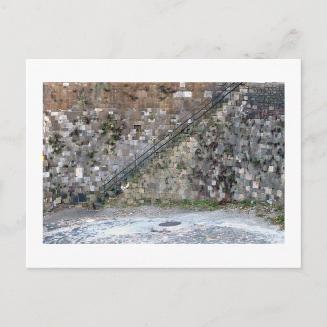 Savannah Wall Vykort (Framsida)