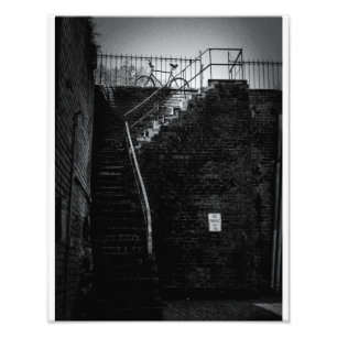 Savannahcykel Fototryck