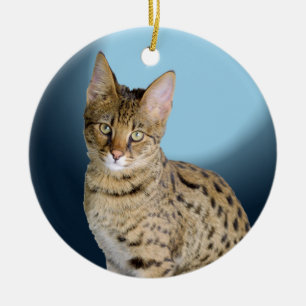 Savannahkatt Julgransprydnad Keramik