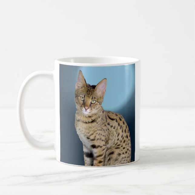 Savannahkatt Kaffemugg (Vänster)