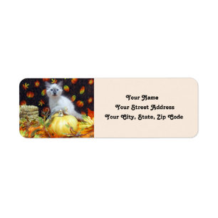 Savannahs fallande Adressetiketter - Cute Cat Returadress Etikett
