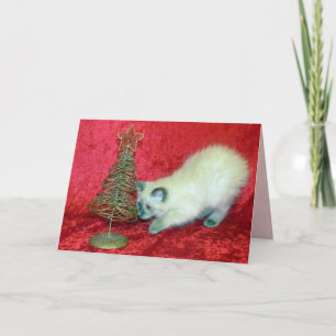 Savannahs Julgran (katt/kitten) Helgkort