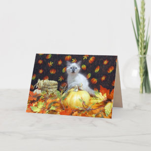 Savannahs (katt/kattunge)-kort/Thanksgiving-kort Helgkort