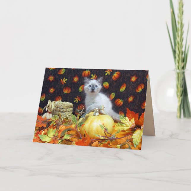 Savannahs (katt/kattunge)-kort/Thanksgiving-kort Helgkort (Framsida)