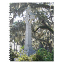 Savannahs keltiska Kor