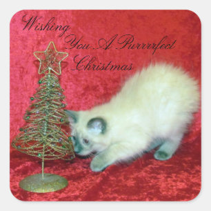 Savannahs lekfulla jul - kattunge / katt fyrkantigt klistermärke