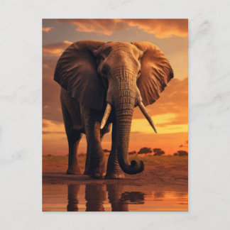 Savannahs Majesty Vykort