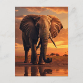 Savannahs Majesty Vykort