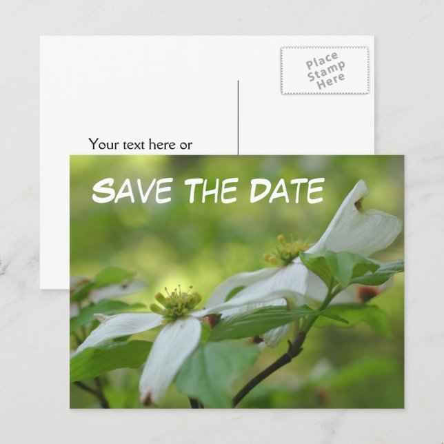 Save The Date Dogwood Flower Photo  Meddelande Vykort (Fram/baksida)
