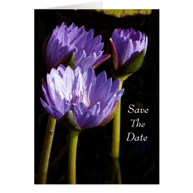 Save The Date Hälsningskort (Framsidan)