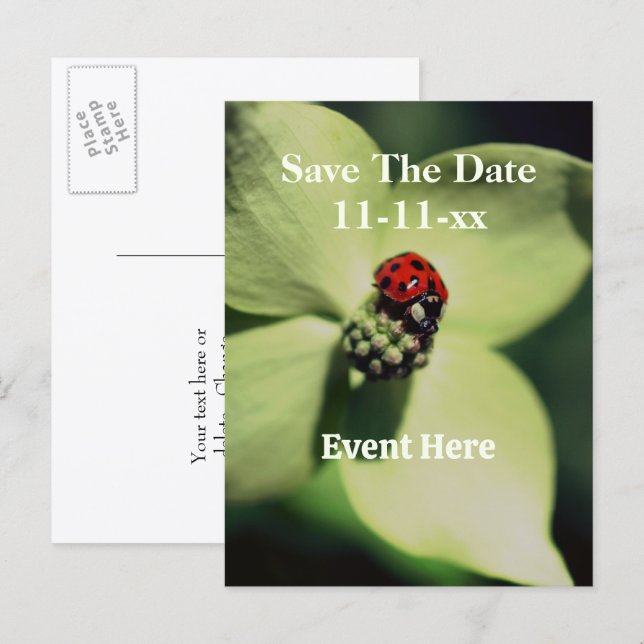 Save The Date Ladybug On Flower  Meddelande Vykort (Fram/baksida)