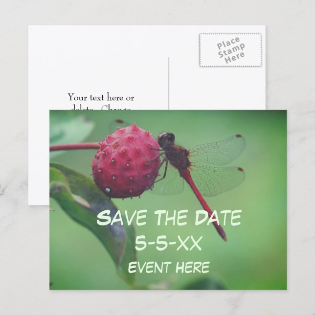 Save The Date Red Dragonfly Nature  Meddelande Vykort (Fram/baksida)