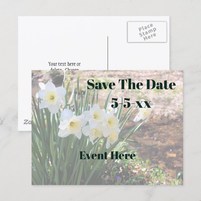 Save The Date White Daffodil Flowers Meddelande Vykort (Fram/baksida)