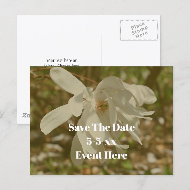 Save The Date White Magnolia Flower  Meddelande Vykort (Fram/baksida)