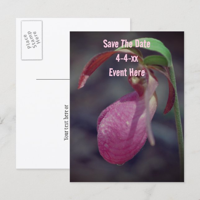 Save The Date Wild Pink Lady Slipper Flower  Meddelande Vykort (Fram/baksida)