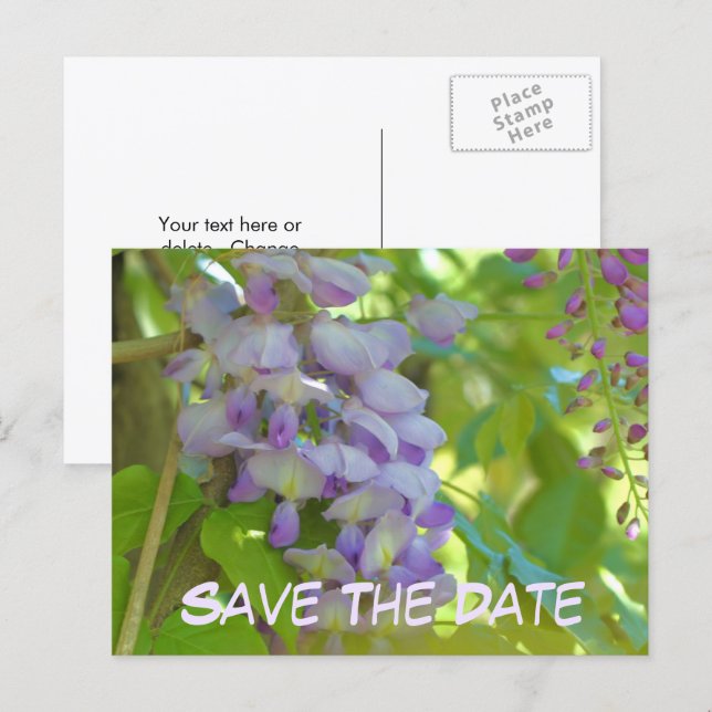 Save The Date Wisteria Flower  Meddelande Vykort (Fram/baksida)