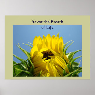 Savor the Breath of Life konsttryck Solros Flora Poster