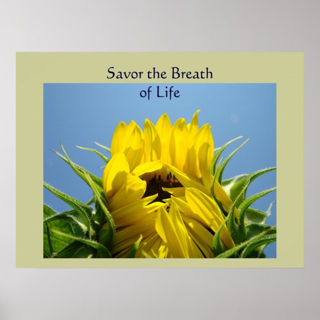 Savor the Breath of Life konsttryck Solros Flora Poster (Framsidan)