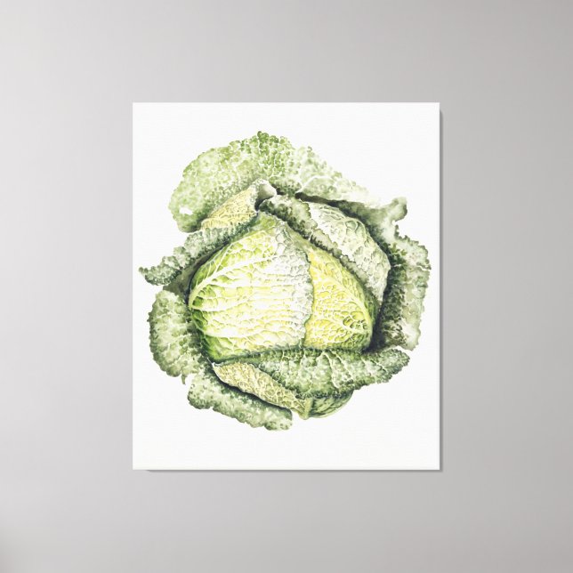 Savoy Cabbage Canvastryck (Framsida)