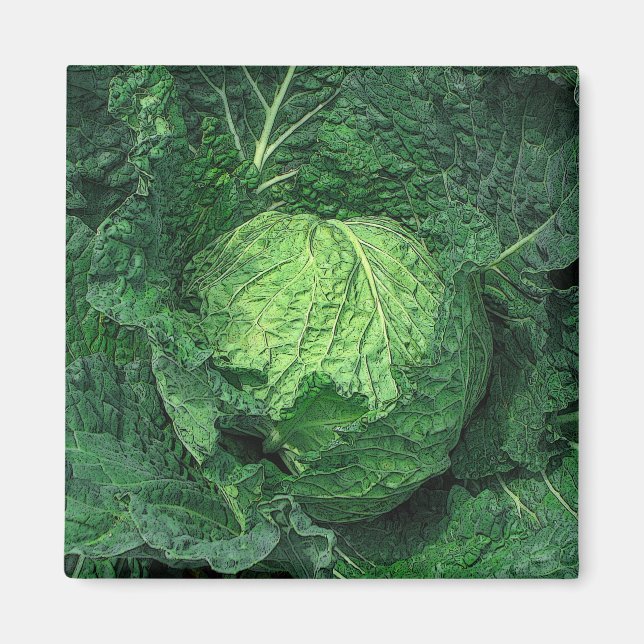Savoy Cabbage Magnet (Framsidan)
