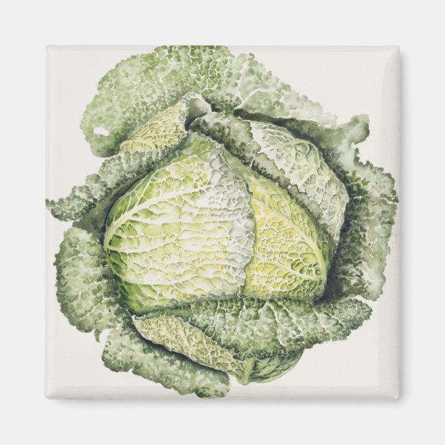 Savoy Cabbage Magnet (Framsidan)