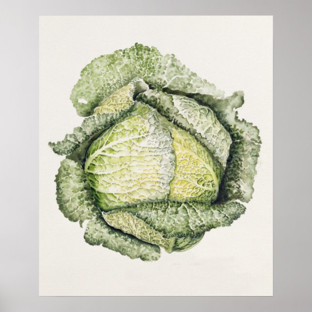 Savoy Cabbage Poster (Framsidan)