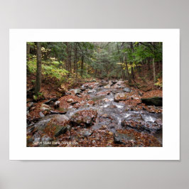 Savoy Mountain State Park Berkshires Poster