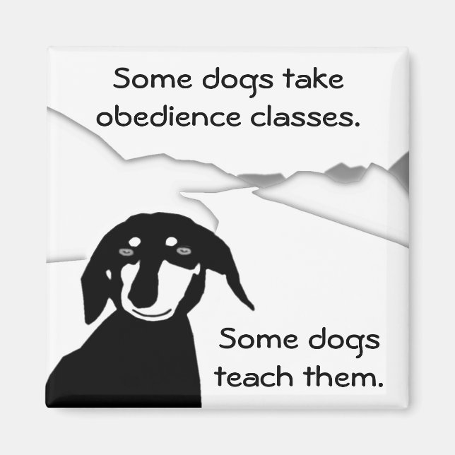 Savvy Sause Wisdom - Obedience Classes Magnet (Framsidan)