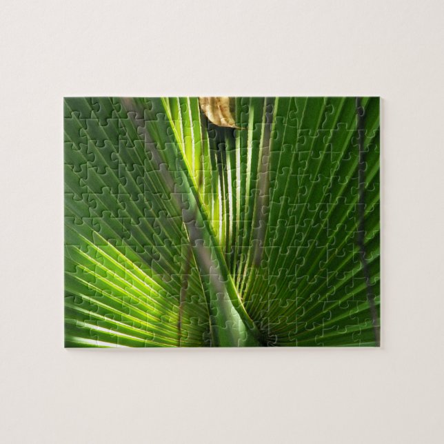 Saw Palmetto Photo Closeup Pussel (Horisontell)