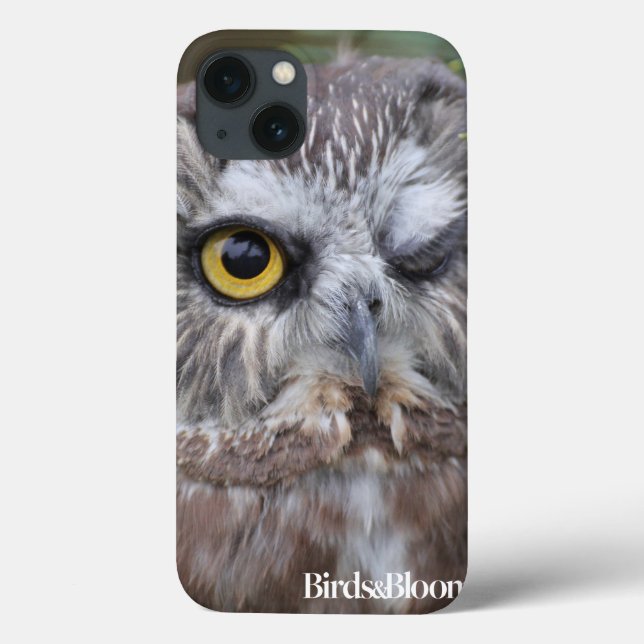 Saw-whet Uggla (Baksida)