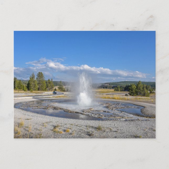 Sawmill Geyser, nationalparken Yellowstone Vykort (Framsida)