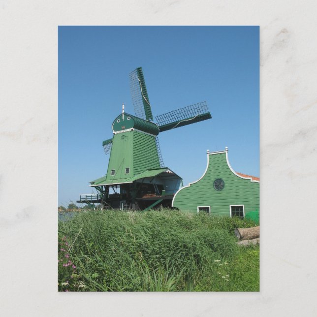 Sawmill i Nederländerna Vykort (Framsida)