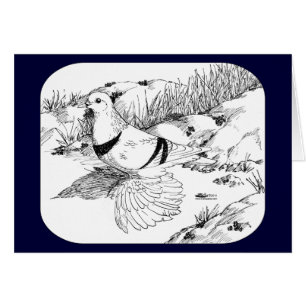 Saxon Crescent Pigeon 1973 OBS Kort