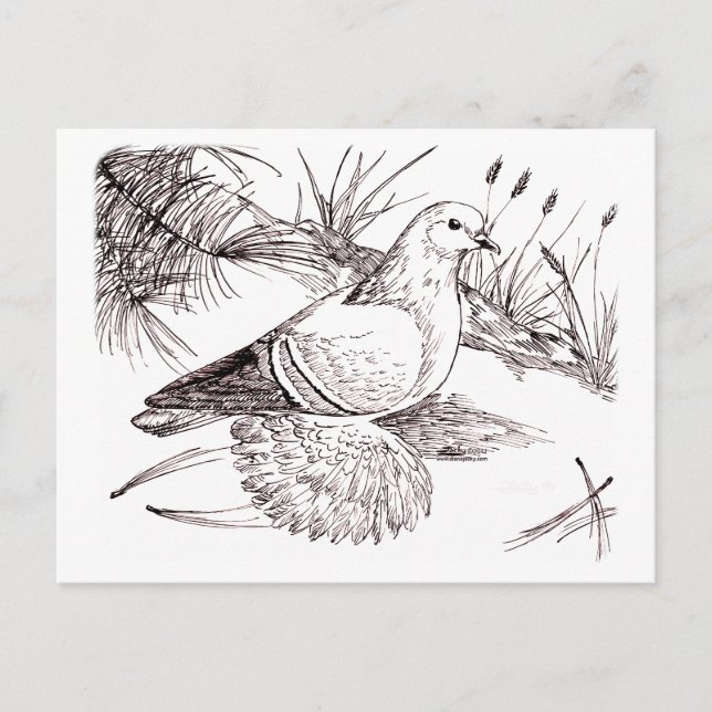 Saxon Fält Pigeon Vykort (Framsida)