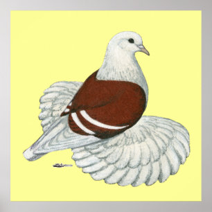 Saxon Shield Red White Pub Poster