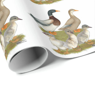 Saxony Ankfamilj Presentpapper