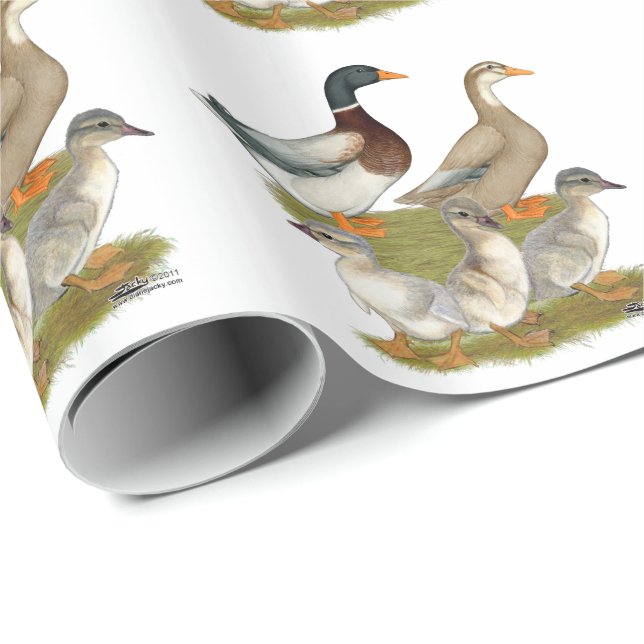 Saxony Ankfamilj Presentpapper (Rullad Hörn)