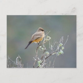 Says fältflyg vykort