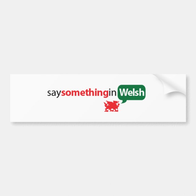 SaySomethinginWelsh Bildekal (Framsidan)