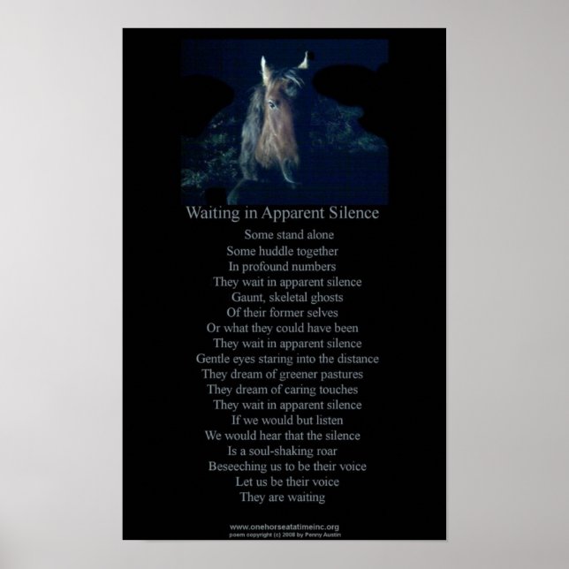 SC poster inkl. (Framsidan)