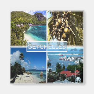 SC Seychellerna - Beach Resort - Lodoicea Maldivic Magnet