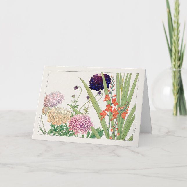 Scabiosa Montbretia av Tanigami Konan Kort (Framsida)