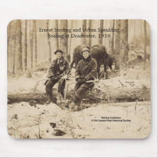 Scalers på Deadwater, Maine - 1916 Musmatta