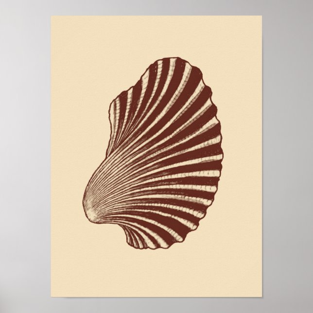 Scallop Snäcka Block Print, Brown och Beige Poster (Framsidan)