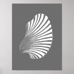 Scallop Snäcka Block Print, Grått / Grått och Whit Poster